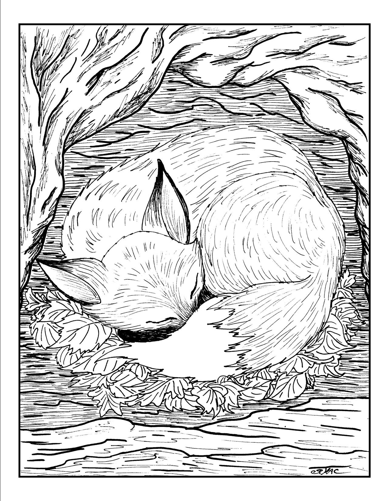 Nature Coloring Pages For Adults
 Coloring Pages For Adults Nature Coloring Home
