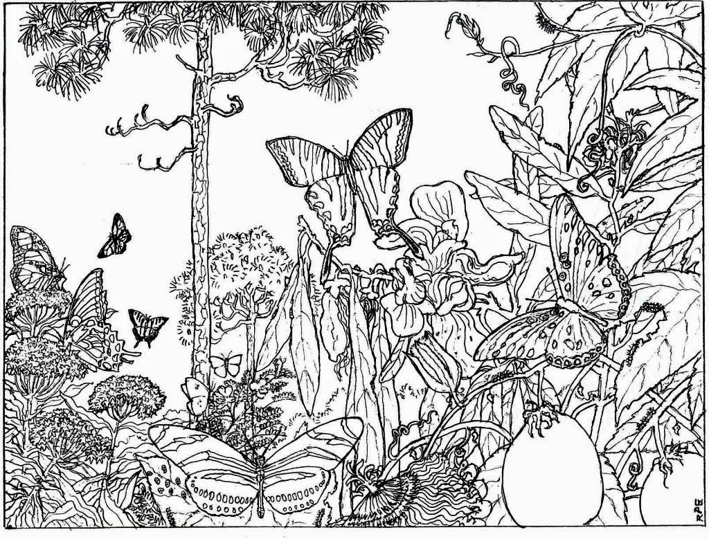 Nature Coloring Pages For Adults
 Nature Alive Forest