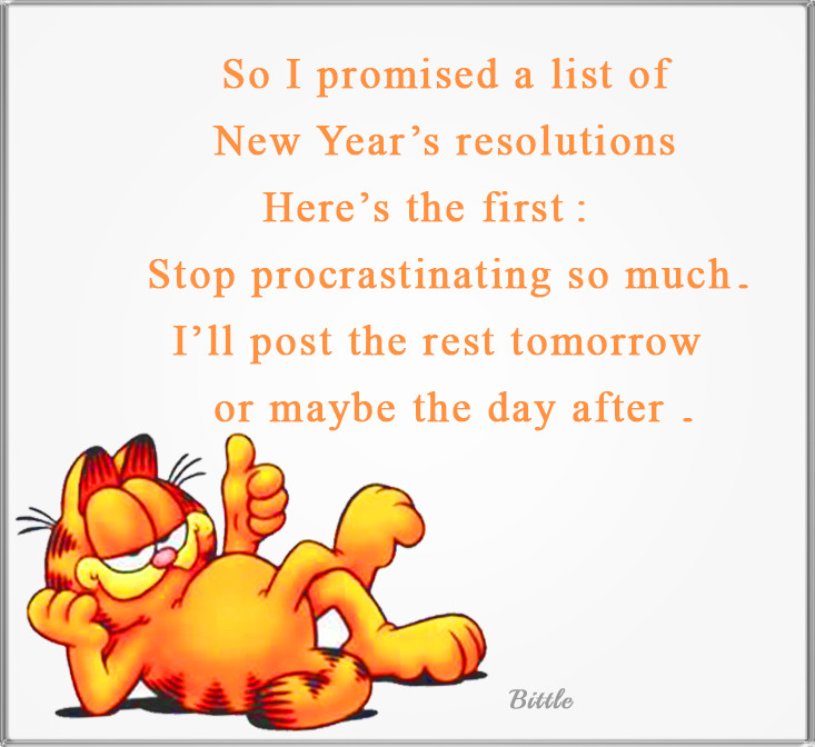 New Years Resolutions Quotes Funny
 Funny Garfield New Years Resolution Quote s