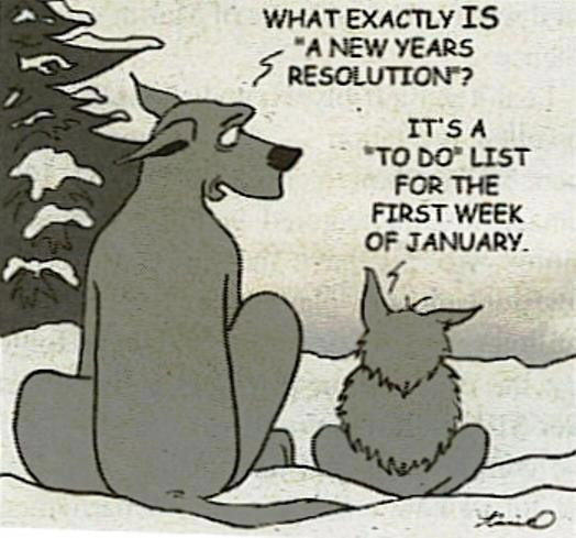New Years Resolutions Quotes Funny
 Funny Status What is a new year s resolution