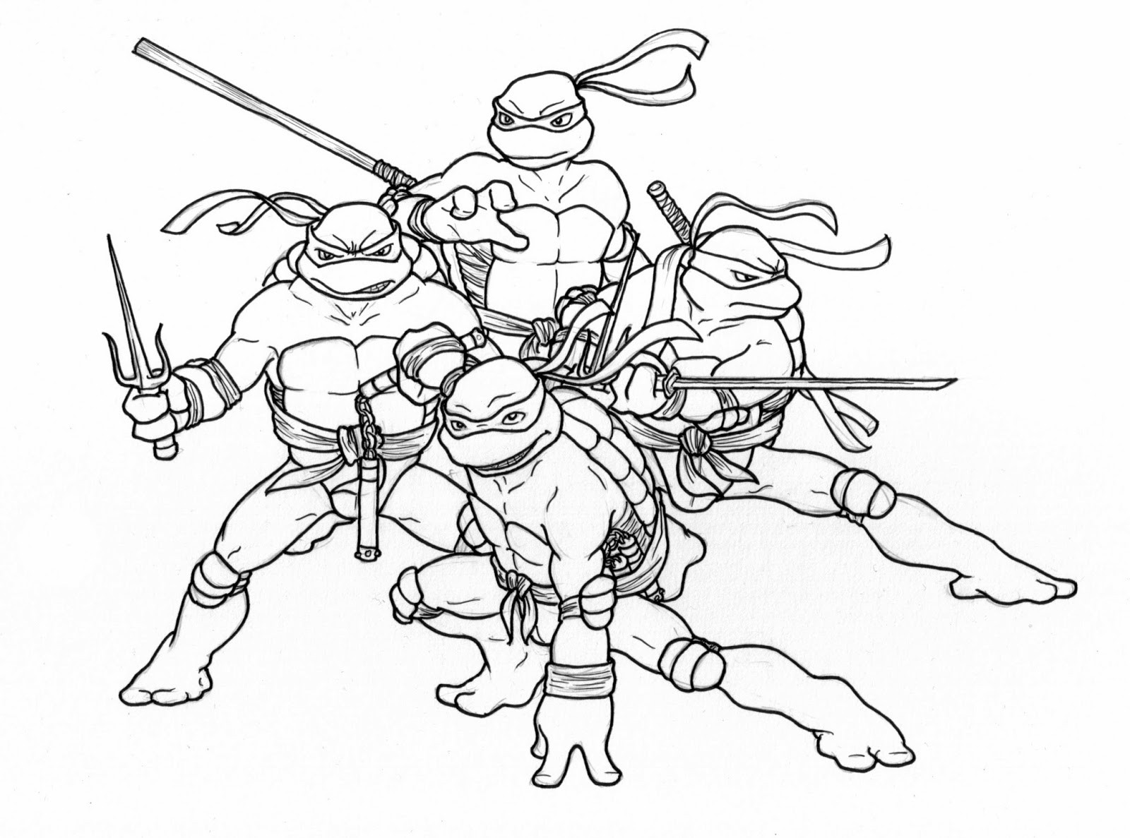 Ninja Turtles Coloring Pages Printables
 Sara Dunkerton Illustration and Animation Teenage Mutant
