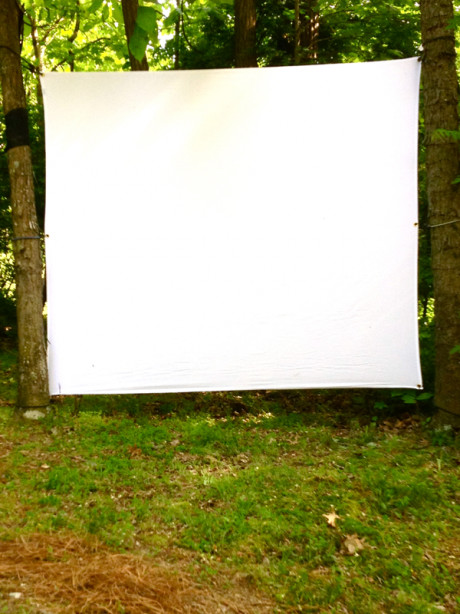Outdoor Movie Screen DIY
 DIY outdoor movie screen – M O D F R U G A L