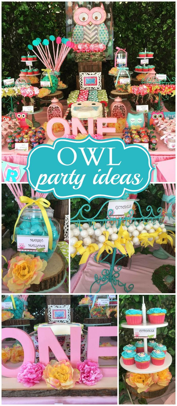 Owl Baby Shower Decorations Party City
 Owls Birthday "Look Whoo s Turning e"