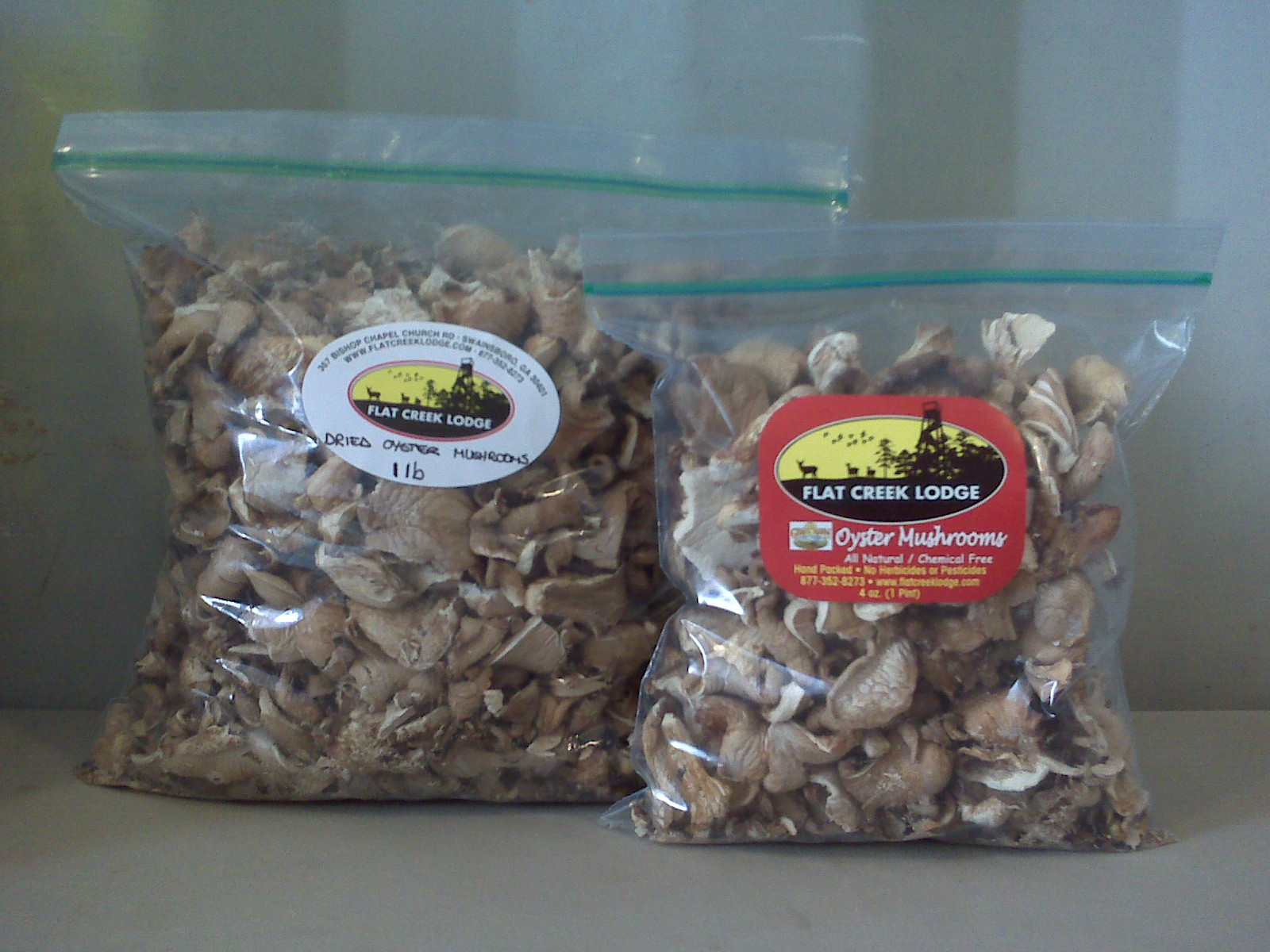 Oyster Mushrooms For Sale
 Dried Oyster Mushrooms for Sale line