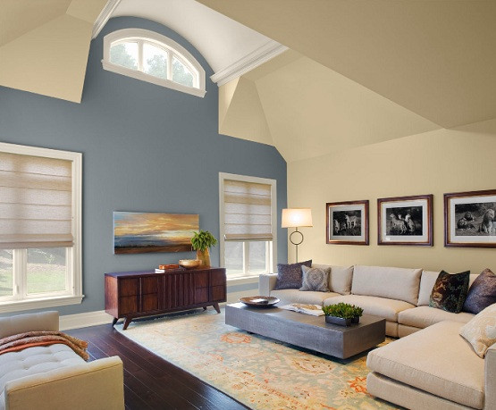Paint Scheme For Living Room
 Paint Color Schemes Living Room6