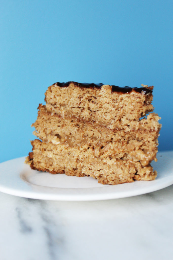 Paleo Coconut Cake
 The Ultimate Paleo Coconut Cake Pies and Plots