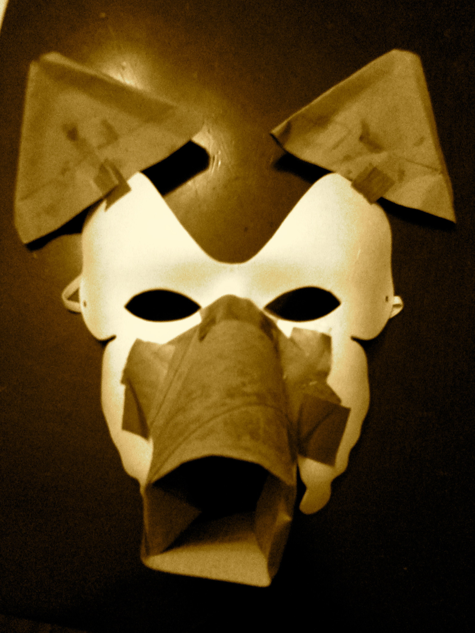 Paper Mache Masks DIY
 DIY Papier mâché wolf mask