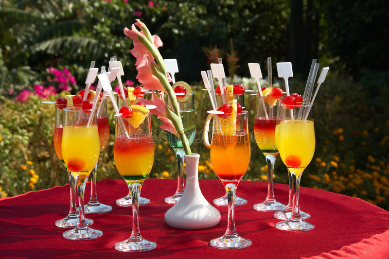 Party Ideas Food &amp; Drink
 Outdoor Cocktail Party Royalty Free Stock graphy