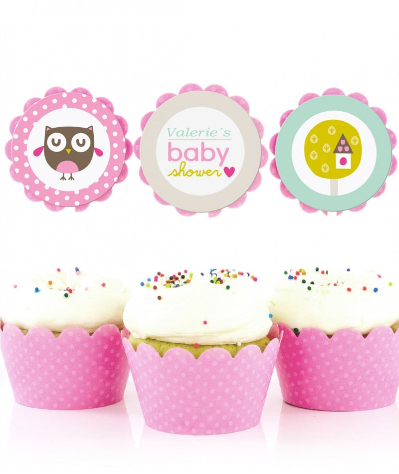 Party In A Box Baby Shower
 Pink Owl Baby Shower Party in a Box