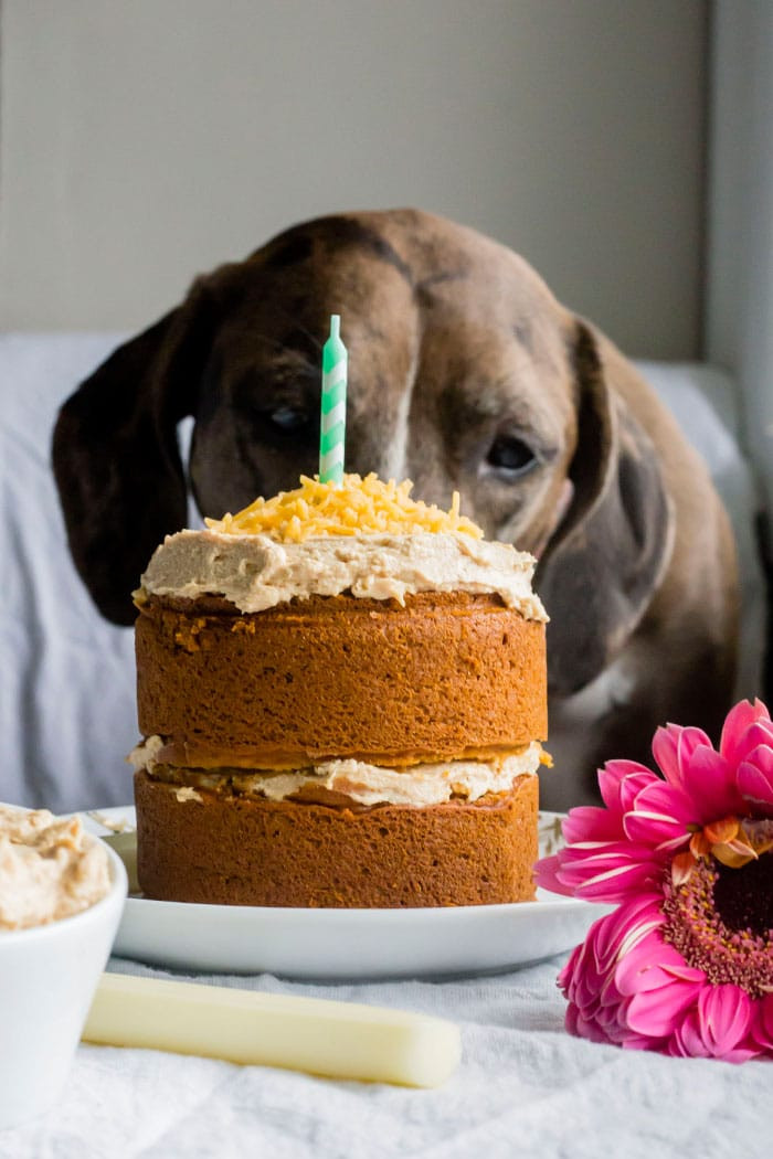 Pet Birthday Cakes
 Mini Dog Birthday Cake