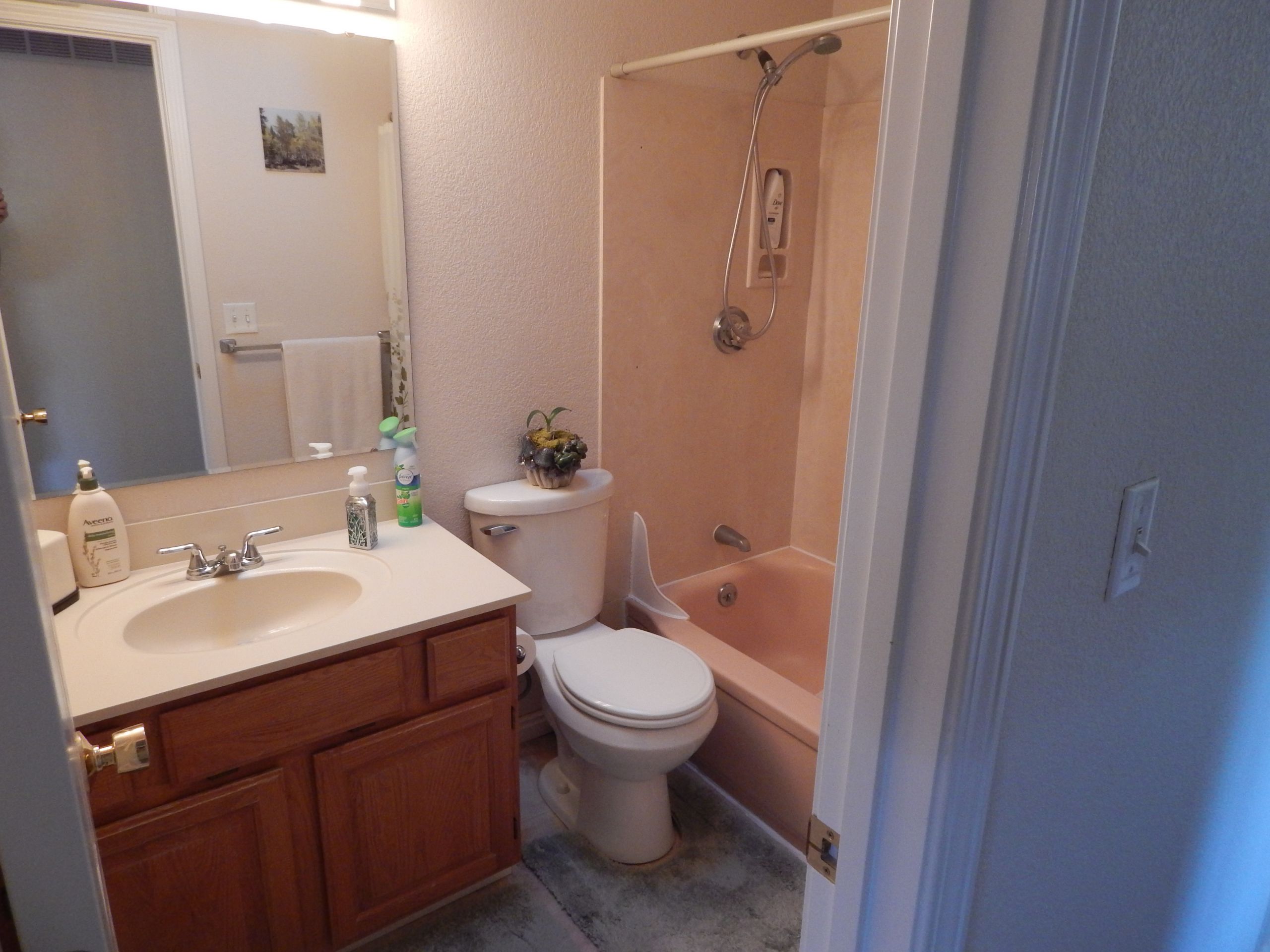 Picture Of Bathroom Showers
 Recent Bathroom Remodel Projects