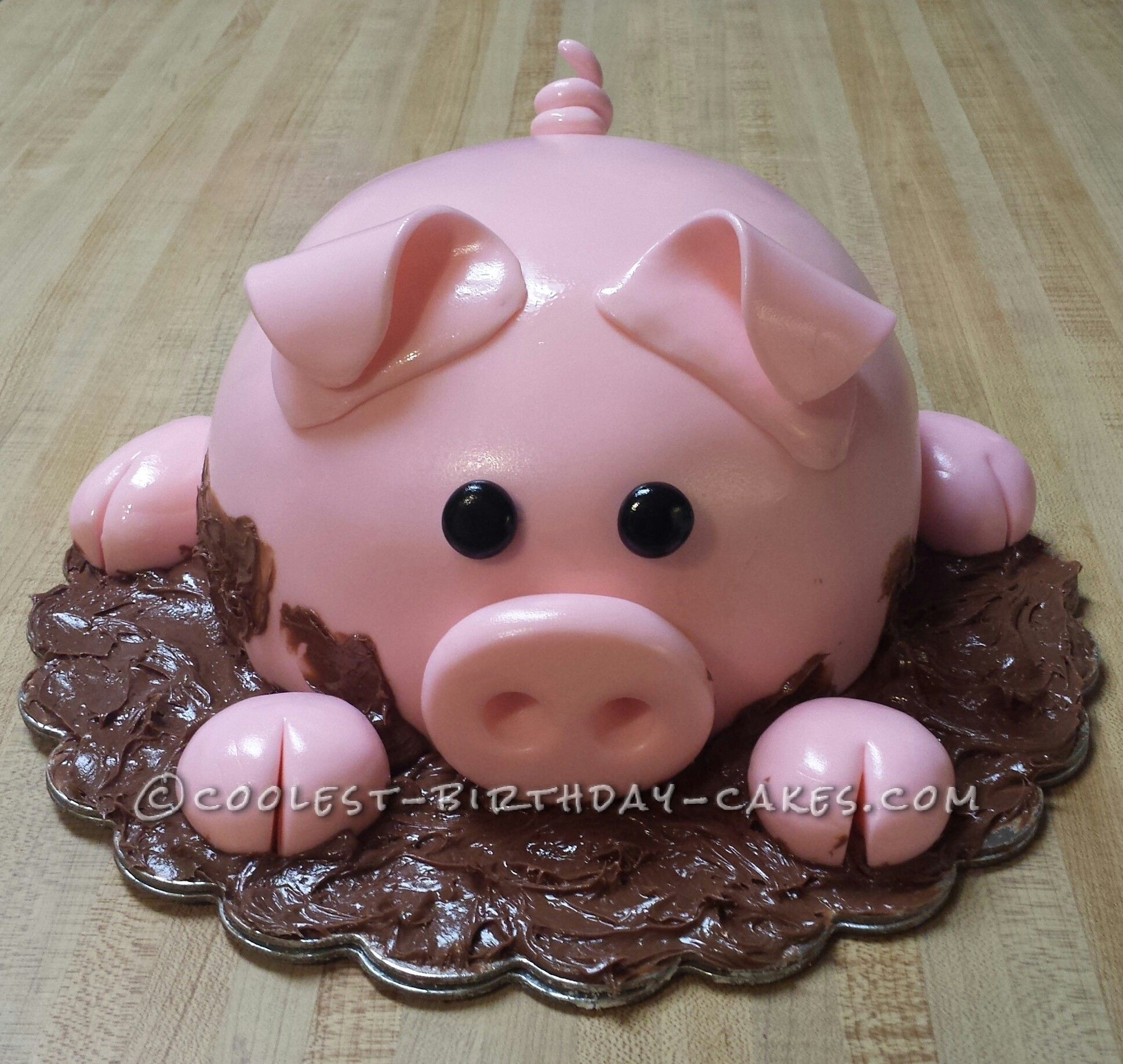 Pig Birthday Cake
 Coolest Pig Cake FOOD