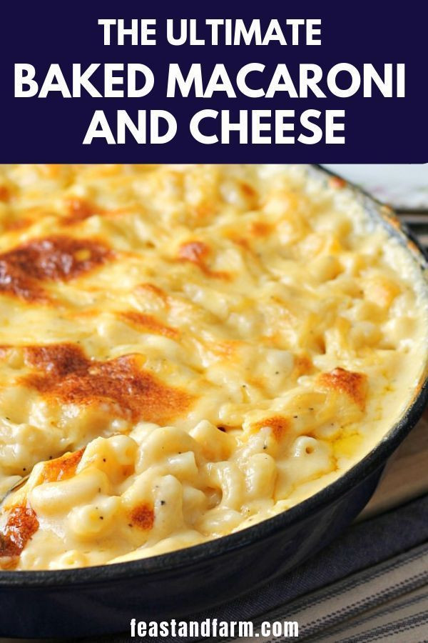 Pioneer Woman Baked Macaroni And Cheese
 Baked Macaroni and Cheese Recipe Food