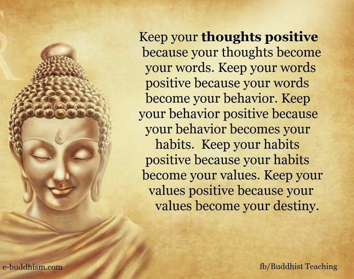 Positive Buddha Quotes
 Pin by Pradeep Saigal on My Quotes