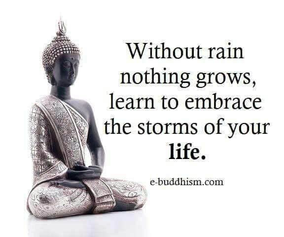Positive Buddha Quotes
 Buddhist Quotes Best Collection of Buddha Quotes on Life