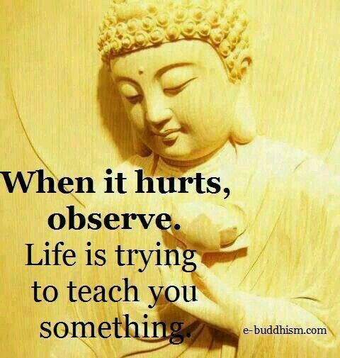 Positive Buddha Quotes
 ριntєrєѕt ∙∘≫ ⇝ fruityanji ☪
