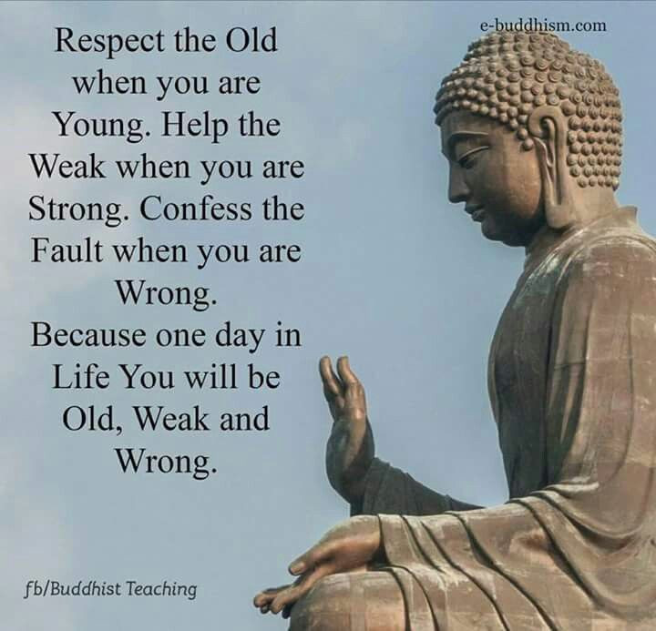 Positive Buddha Quotes
 Free Download Buddha Quotes With Good Morning Paulcong
