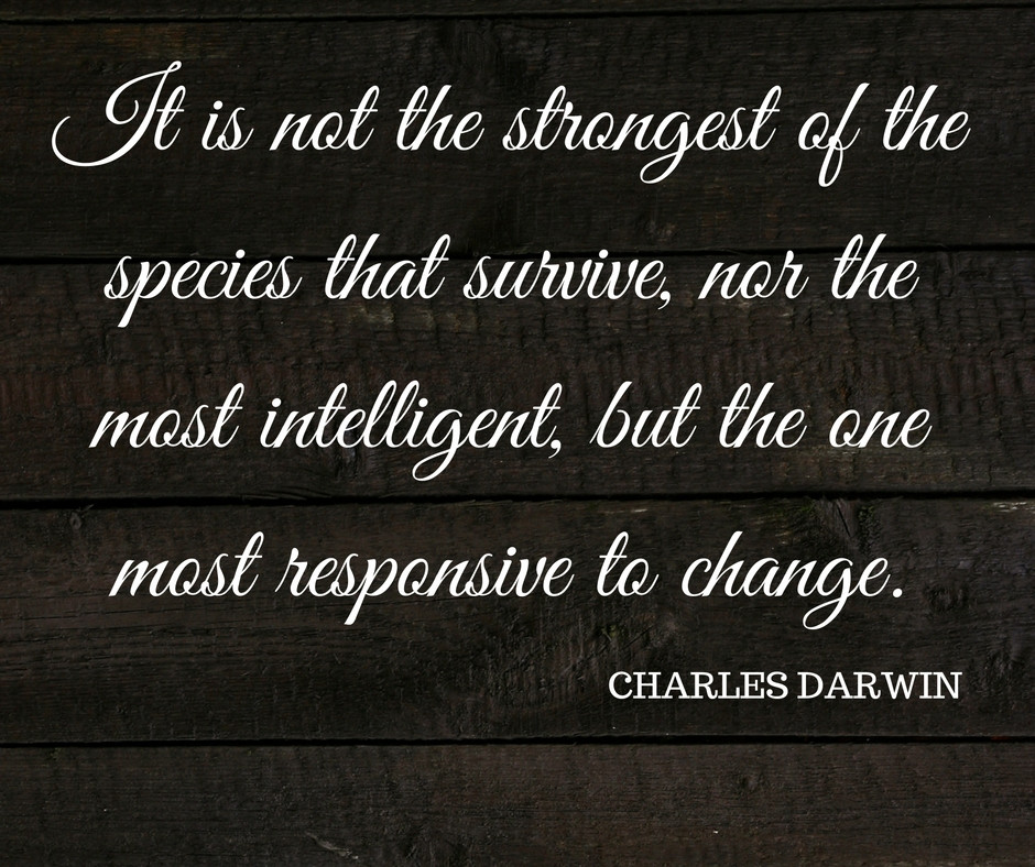 Positive Quotes For Success
 Motivational quotations success " It is not the strongest