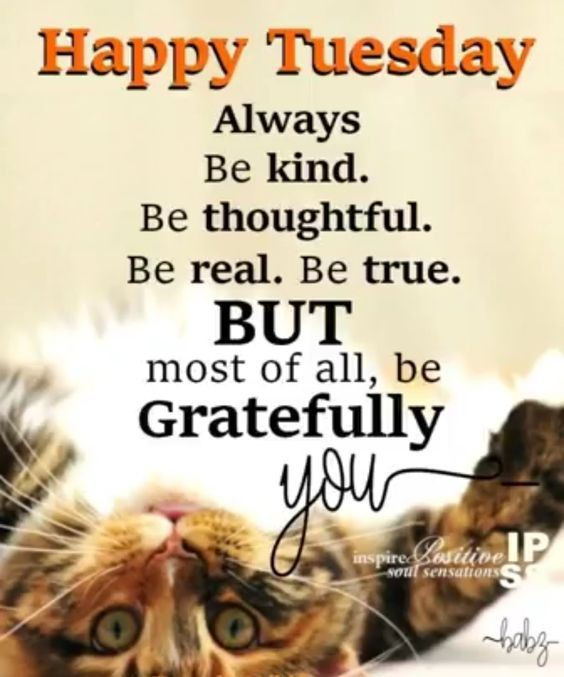 Positive Tuesday Quotes
 Happy Tuesday Be Gratefully You s and