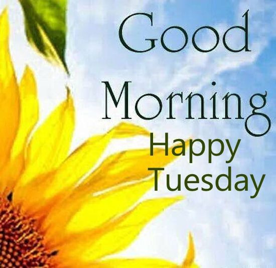 Positive Tuesday Quotes
 Good Morning Quote Happy Tuesday s and