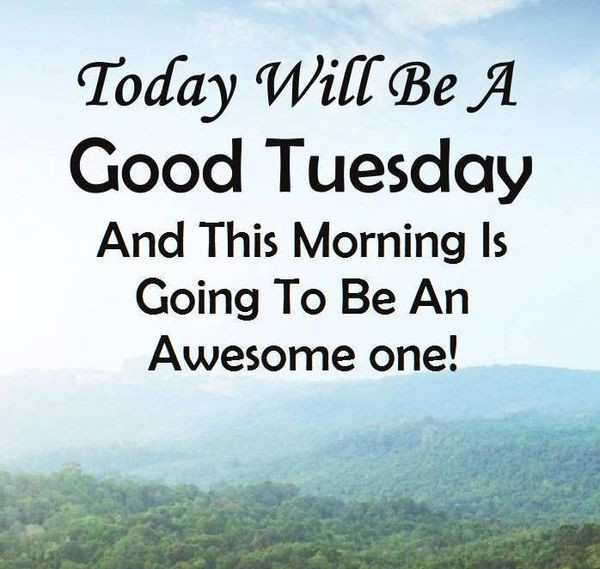 Positive Tuesday Quotes
 Happy Tuesday Quotes and