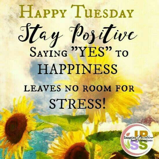 Positive Tuesday Quotes
 Happy Tuesday Stay Positive s and