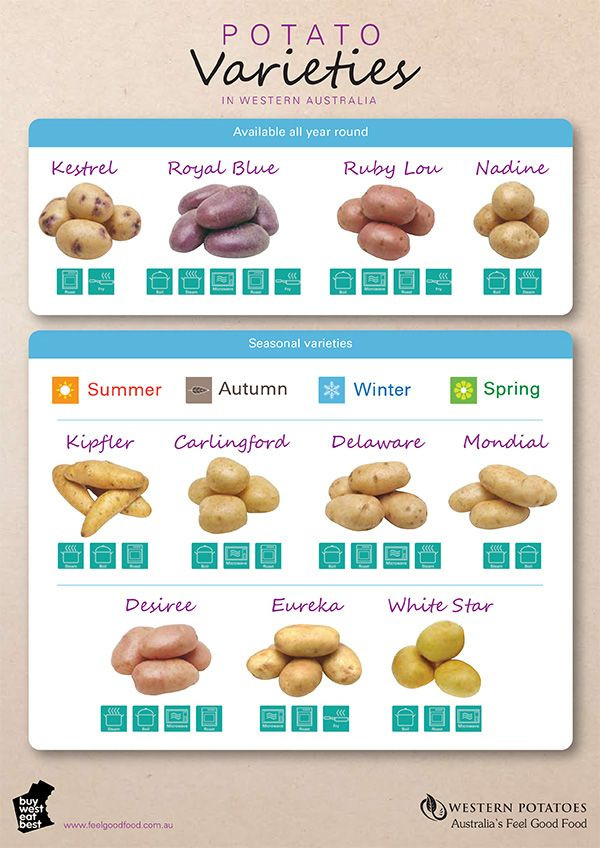 Potato Lower Classifications
 Which Potato Varieties to Use for baking frying boiling
