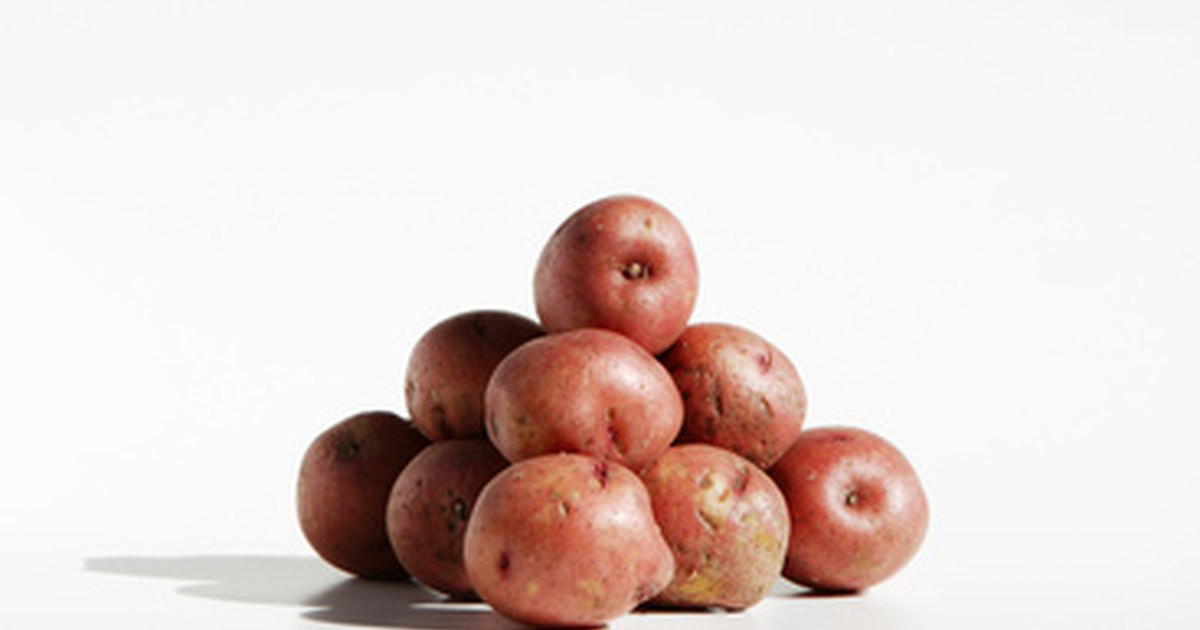 Potato Lower Classifications
 Types of waxy potatoes