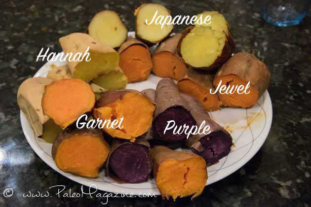 Potato Lower Classifications
 Sweet Potatoes – Why should I eat that