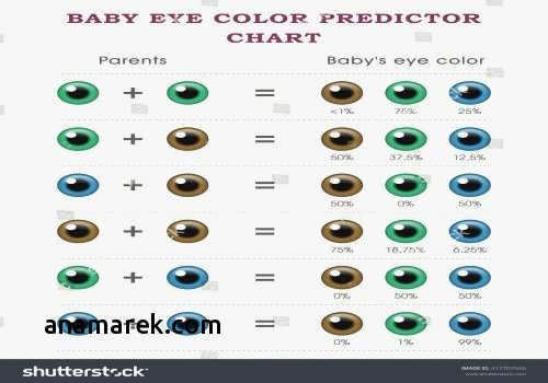 Predict Baby Hair Color
 74 Baby Hair Color Predictor