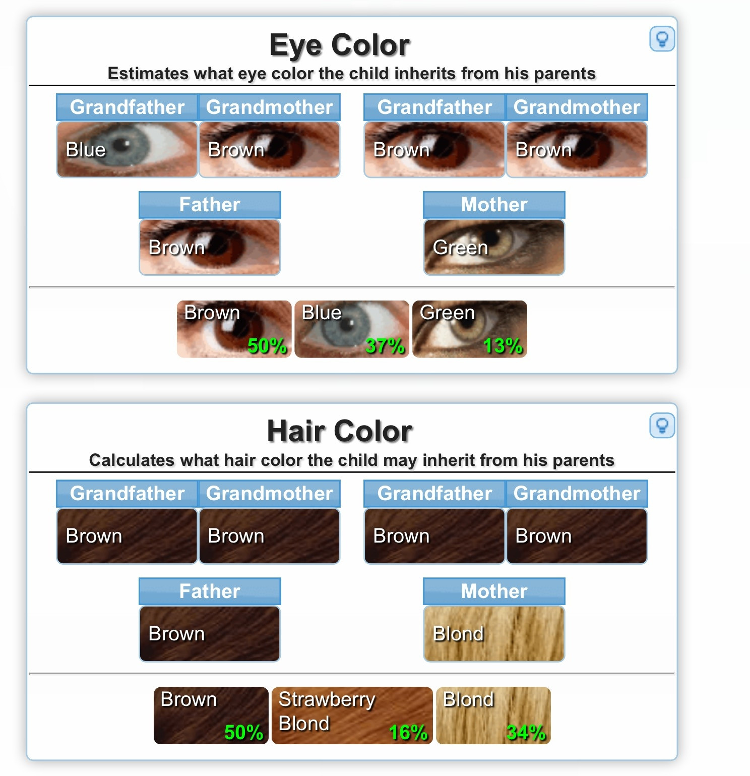 Predict Baby Hair Color
 Eye Color Genetics Predictor