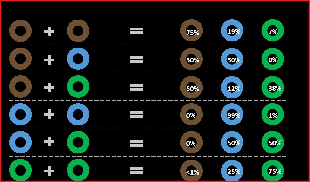 Predict Baby Hair Color
 Luxury Eye Color Predictor Calculator – daily1p