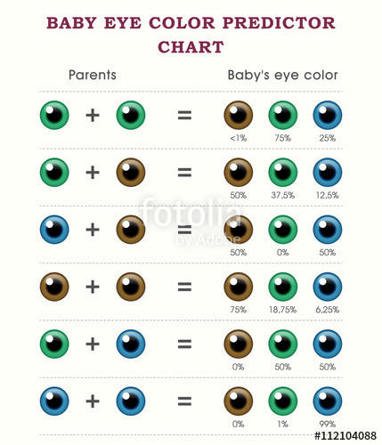 Predict Baby Hair Color
 "Baby eye color predictor chart template" Stock image and