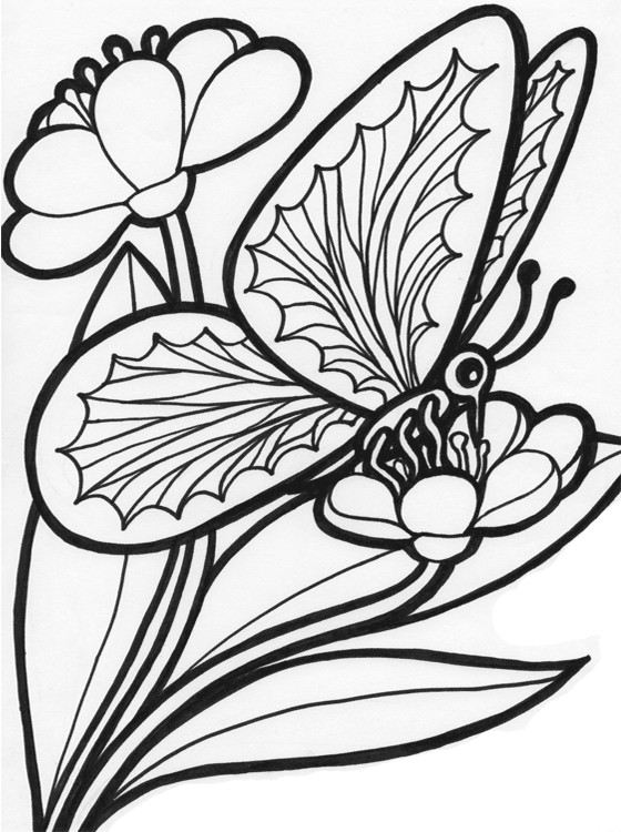 Print Coloring Pages For Kids
 Kids Page Butterfly Coloring Pages