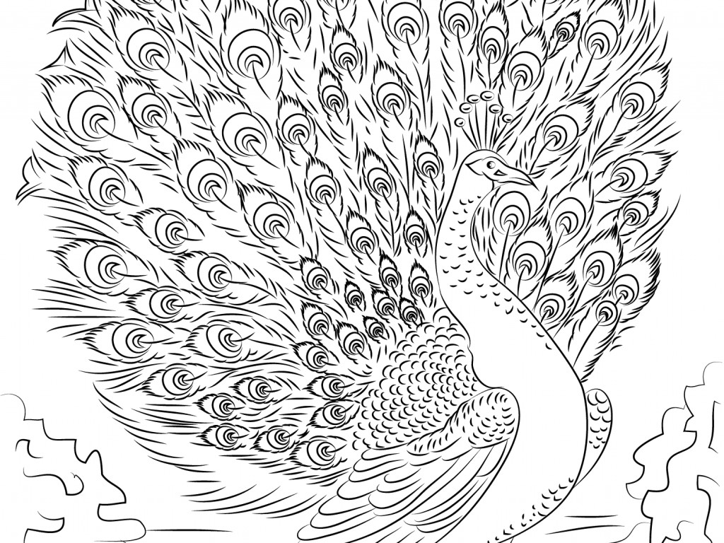 Printable Advanced Coloring Pages
 Advance Drawing at GetDrawings