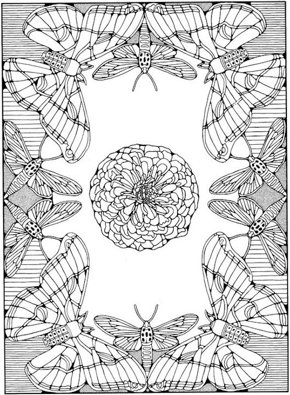 Printable Advanced Coloring Pages
 Advanced Coloring Pages