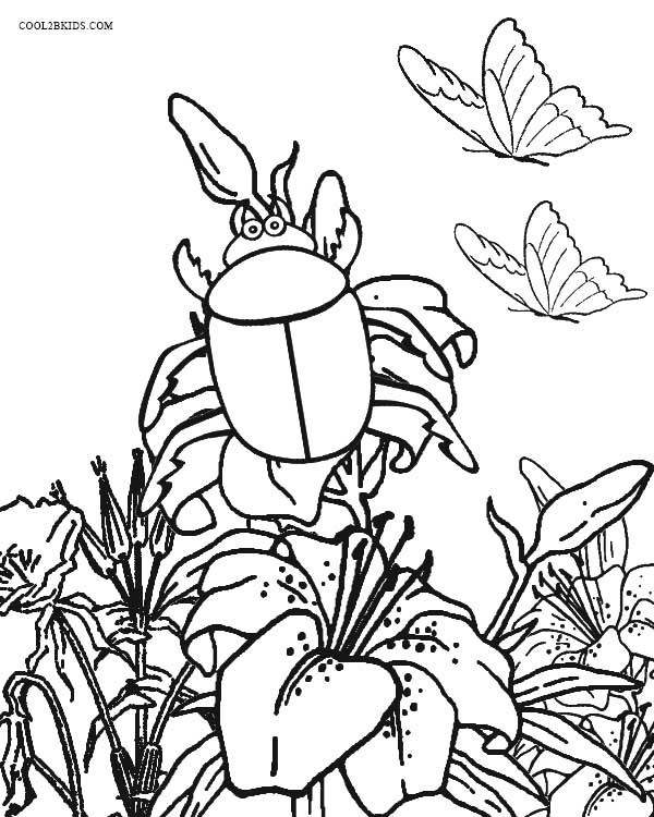 Printable Bug Coloring Pages
 Printable Bug Coloring Pages For Kids