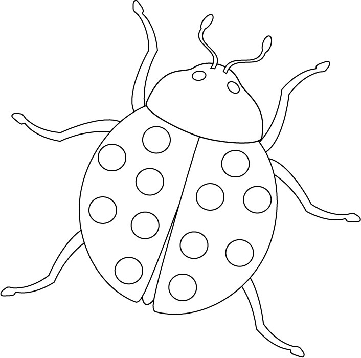 Printable Bug Coloring Pages
 Free Printable Bug Coloring Pages For Kids