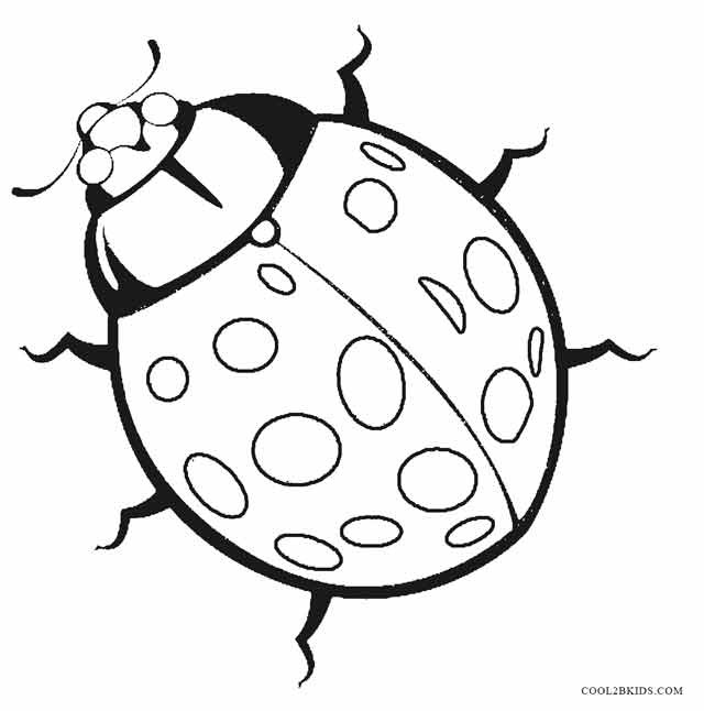 Printable Bug Coloring Pages
 Printable Bug Coloring Pages For Kids