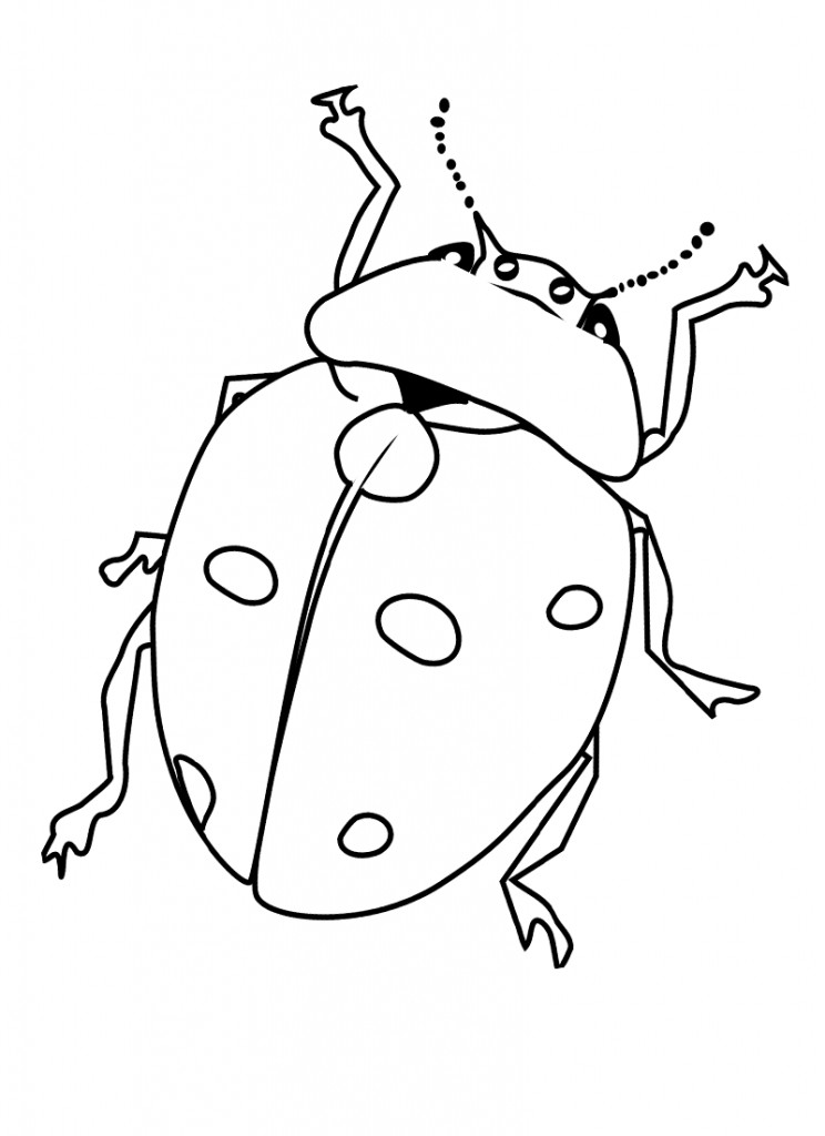 Printable Bug Coloring Pages
 Free Printable Bug Coloring Pages For Kids