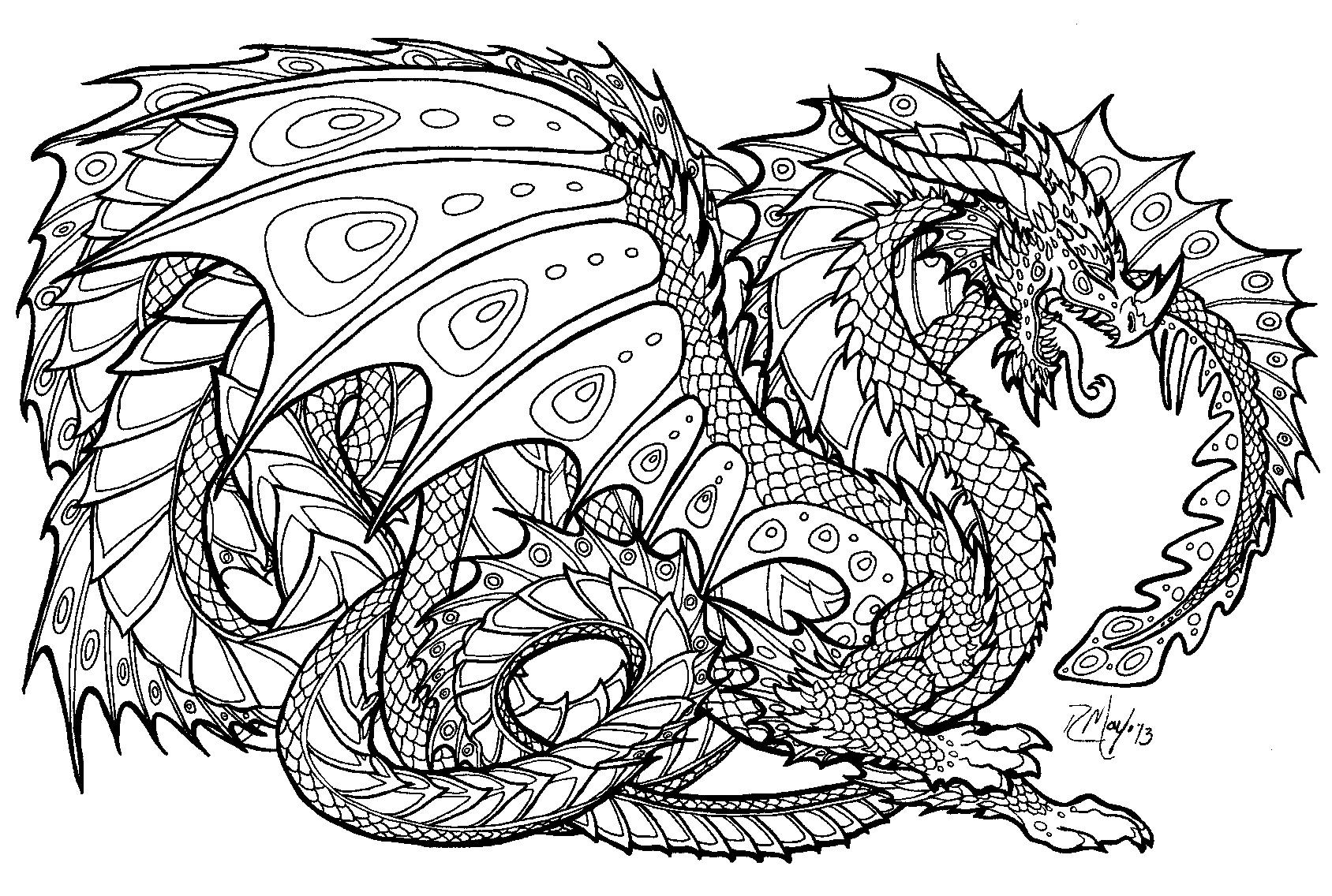 Printable Dragon Coloring Pages
 free printable coloring pages for adults advanced dragons