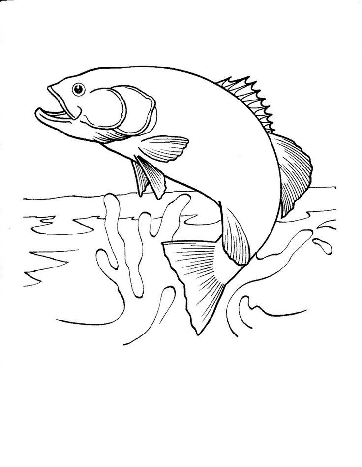 Printable Fishing Coloring Pages
 53 best Printable Coloring Pages images on Pinterest