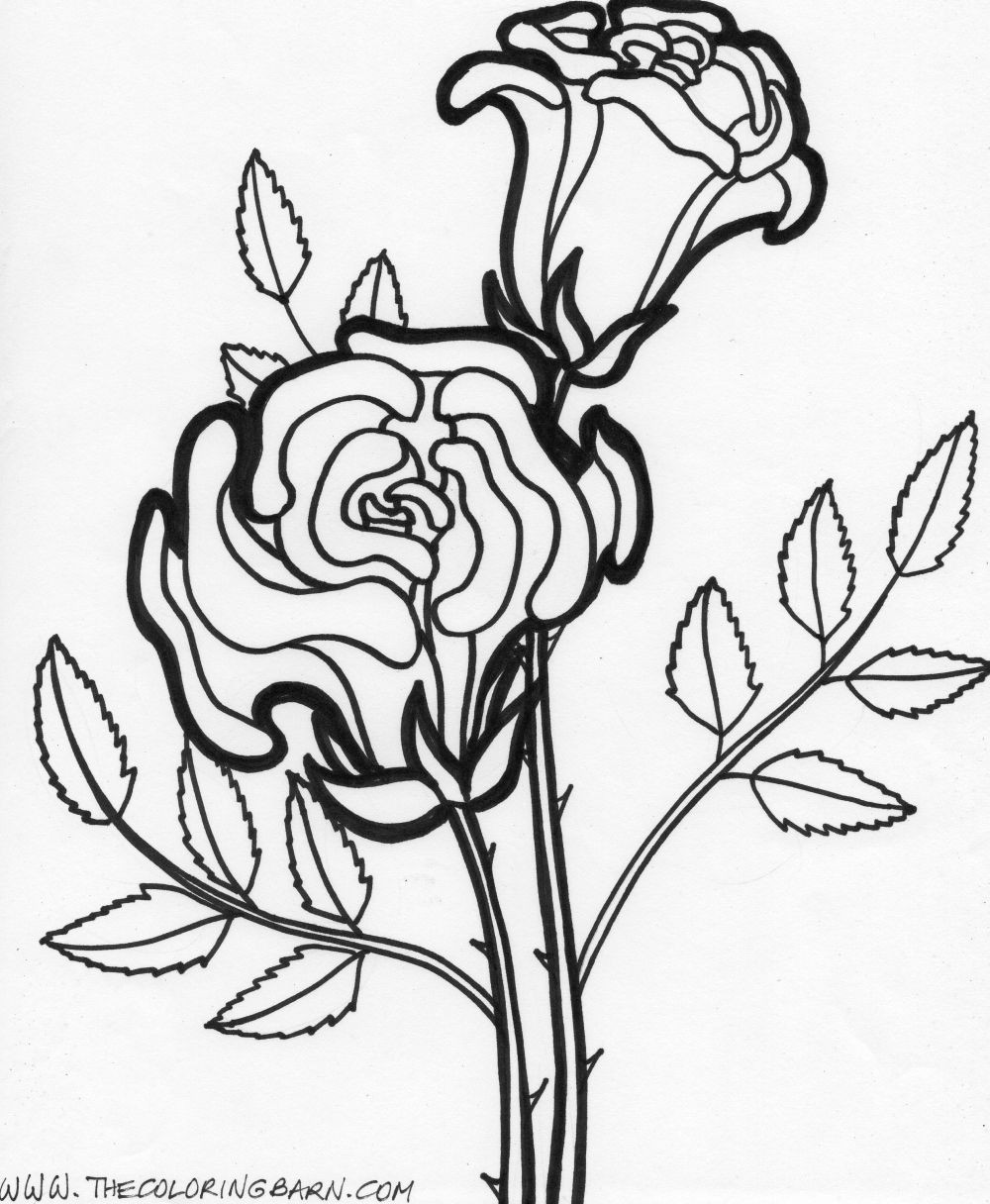 Printable Flower Coloring Pages For Kids
 Coloring Pages Worksheets Simple Flower Coloring Pages