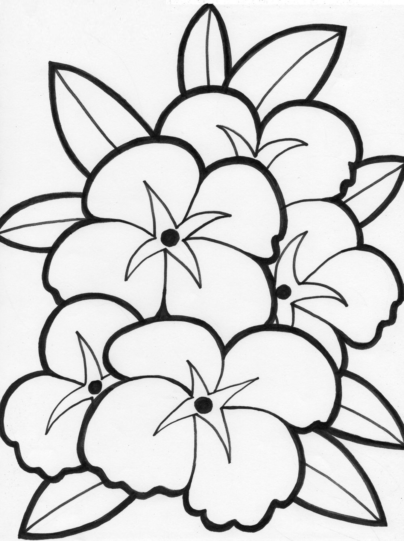 Printable Flower Coloring Pages For Kids
 Free Printable Flower Coloring Pages For Kids Best