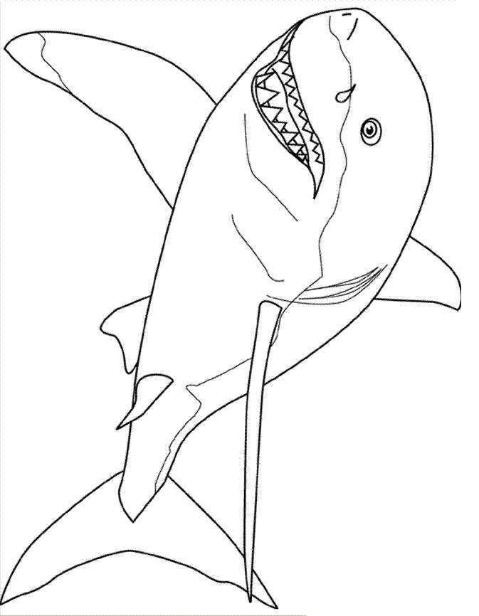 Printable Shark Coloring Pages
 Free Printable Shark Coloring Pages For Kids