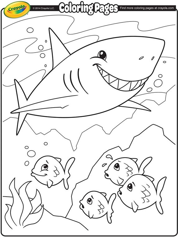 Printable Shark Coloring Pages
 Shark Coloring Page
