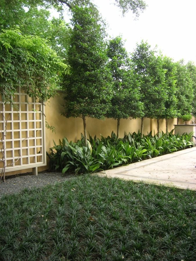 Privacy Fence Landscape
 DIY Outdoor Privacy Screen Ideas