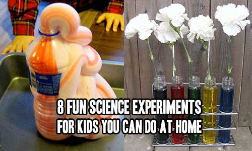 Projects For Kids To Do At Home
 8 Fun Science Experiments For Kids You Can Do At Home
