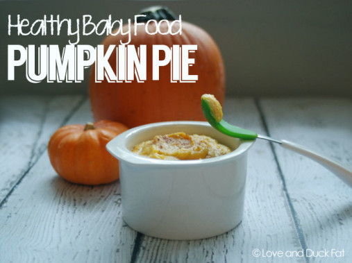 Pumpkin Baby Food Recipe
 Baby food pumpkin pie recipe Love and Duck FatLove and