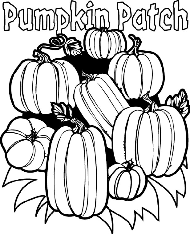 Pumpkin Coloring Pages Printable
 Pumpkin Patch Coloring Page